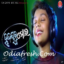 Hrudaya Ku Mora - Romantic Song